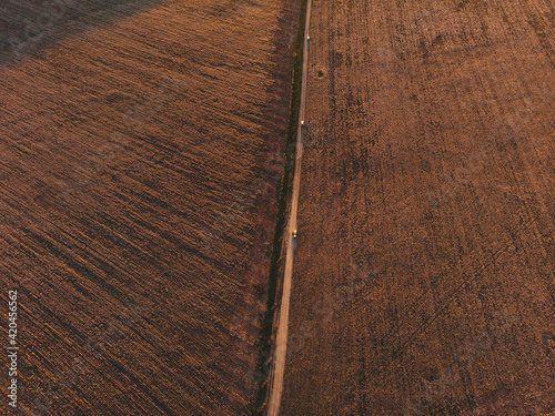 road in field of sage at sunset