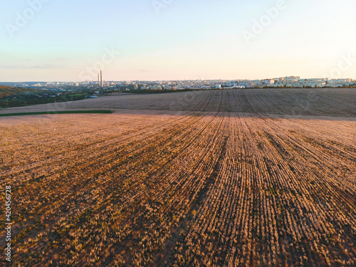 sage field and city view