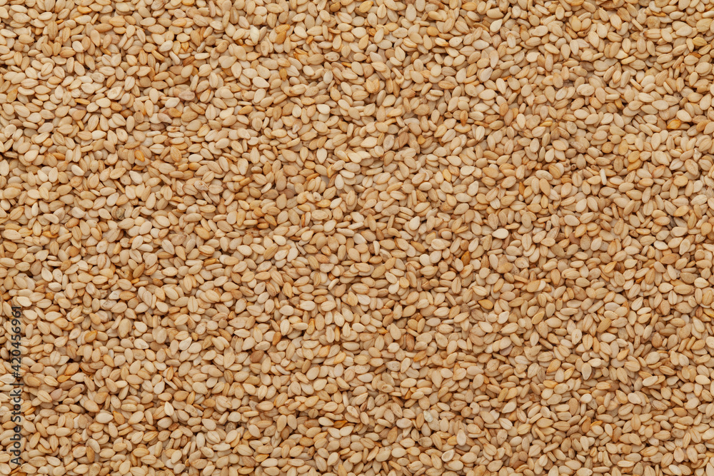 Close-up of Organic White Sesame seeds(Sesamum indicum) or white Til with shell Full-Frame Background. Top View Close-up of Organic White Sesame seeds(Sesamum indicum) or white Til with shell Full-Frame Background. Top View