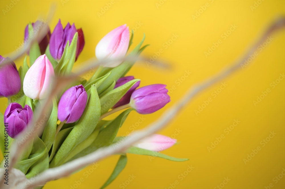 Naklejka premium Tulpen Deko mit Wurzel