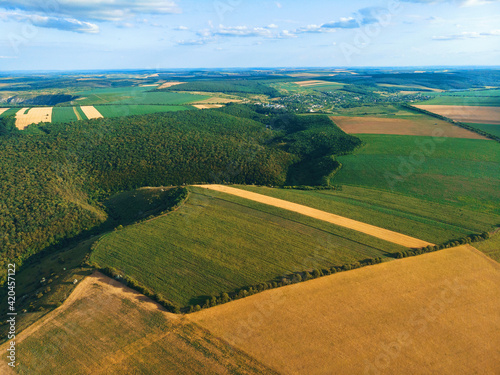 green hills and wheat fields