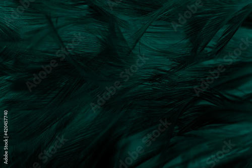 Beautiful dark green viridian vintage color trends feather texture pattern background