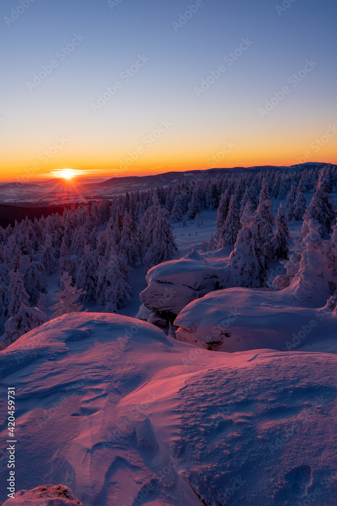 Fantastic winter landscape in snowy mountains glowing by morning sunlight. Dramatic wintry scene with frozen snowy trees at sunrise. Christmas holiday background. Vozka Jeseniky, czech