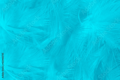 Beautiful blue turquoise vintage color trends feather pattern texture pastel background