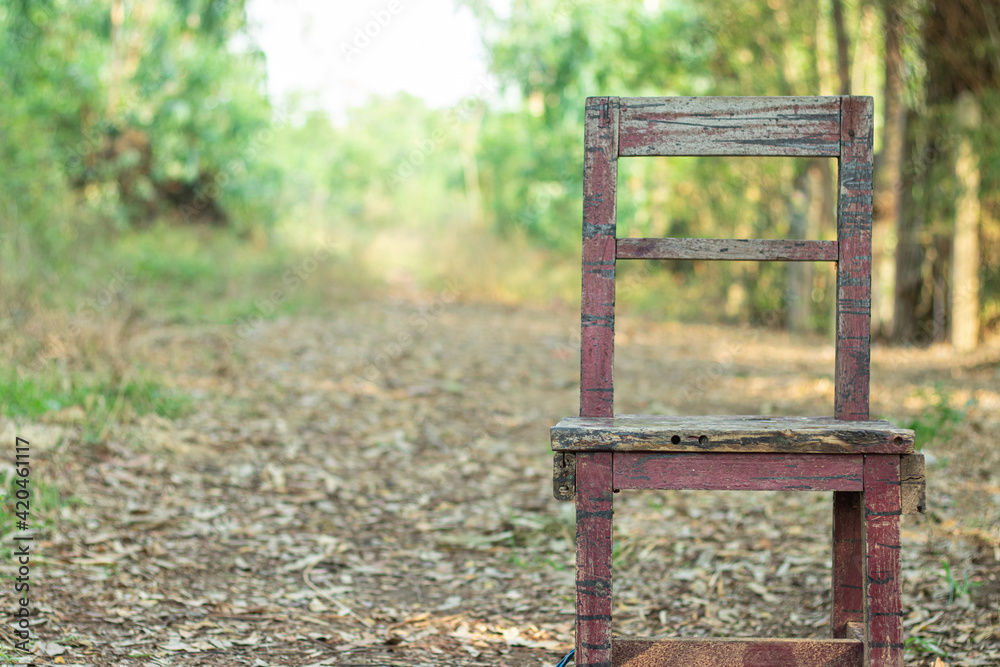 An old wooden chair that was lonely in the middle of the forest.
