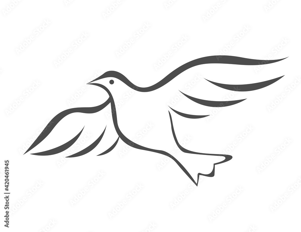 Vector illustration of flying dove Vector illustration of flying dove