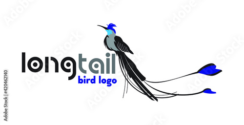 long tail bird logo exclusive design inspiration