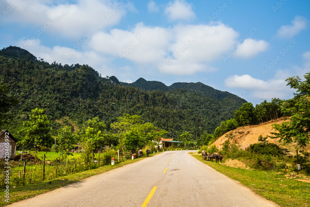 Tropical Phong Nha Vietnam landscape