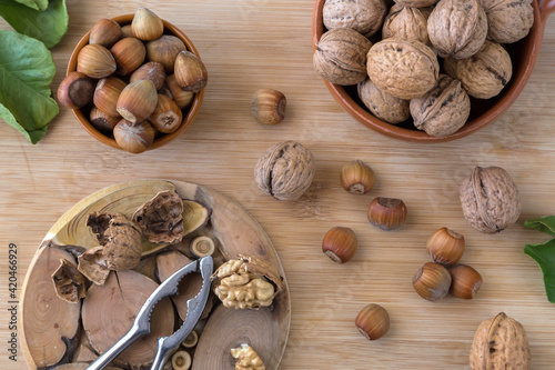 noci e noccioli 