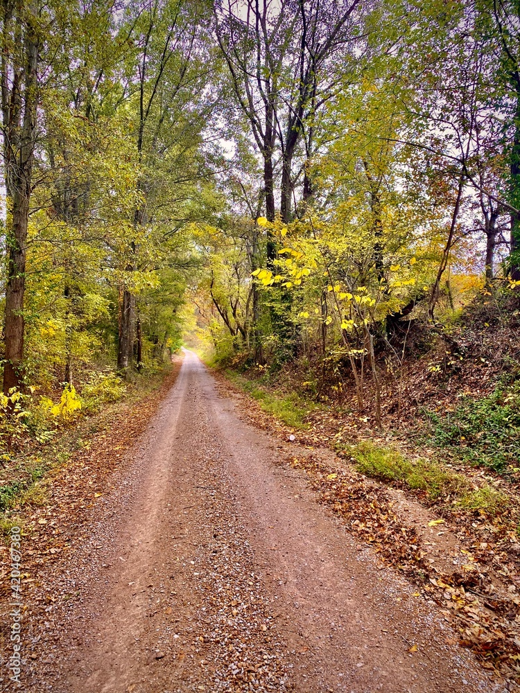 Fototapeta premium Country road