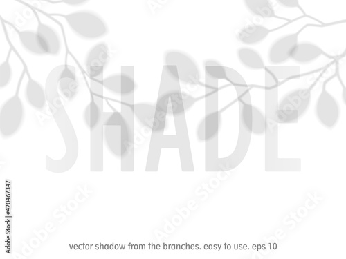 Shadow from branches with leaves. Transparent overlay template with silhouette of leaves. Created with the Blend tool. Vector design