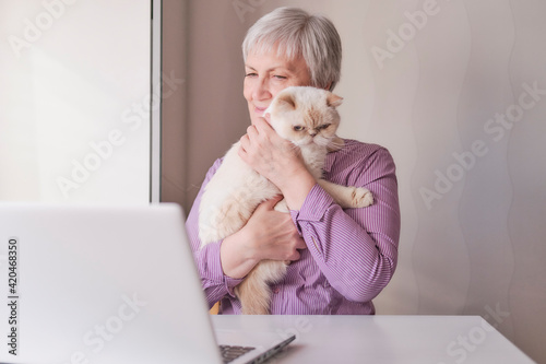 Senior woman sitting at her laptop and holding a cute beige cat in her arms. photo