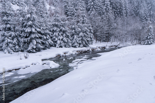 Winter snow forest river landscape. Forest river in winter. Winter forest river flow