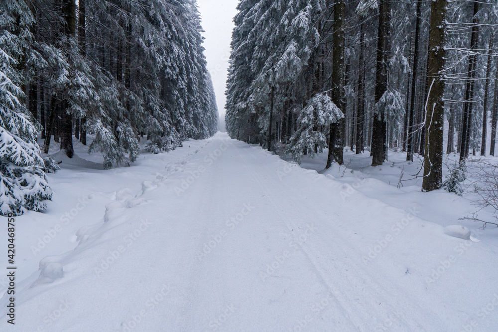 Beautiful landscape with road and conifer forest on snowy winter day, snowy road in winter forest Beautiful landscape with road and conifer forest on snowy winter day, snowy road in winter forest
