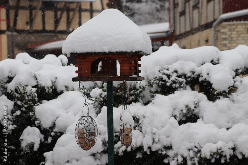 Winter Winter