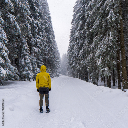 winter landscape forest man / traveler in modern winter clothes in the forest, traveling in the mountains europe, czech winter photo