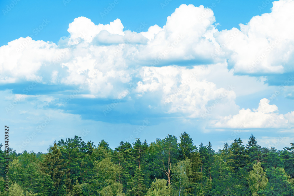 Treetops and beautiful cloudy blue sky. Wood landscape vie from above to sky panorama.