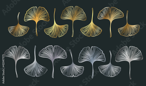 фотографія Golden and silver ginkgo biloba leaver set