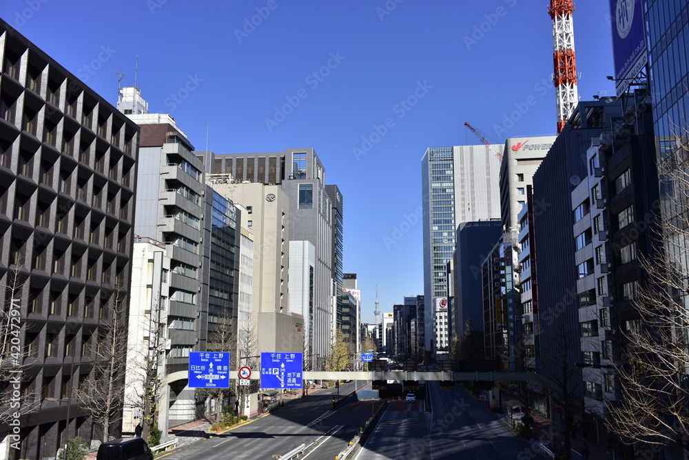 Naklejka premium 正月の東京銀座
