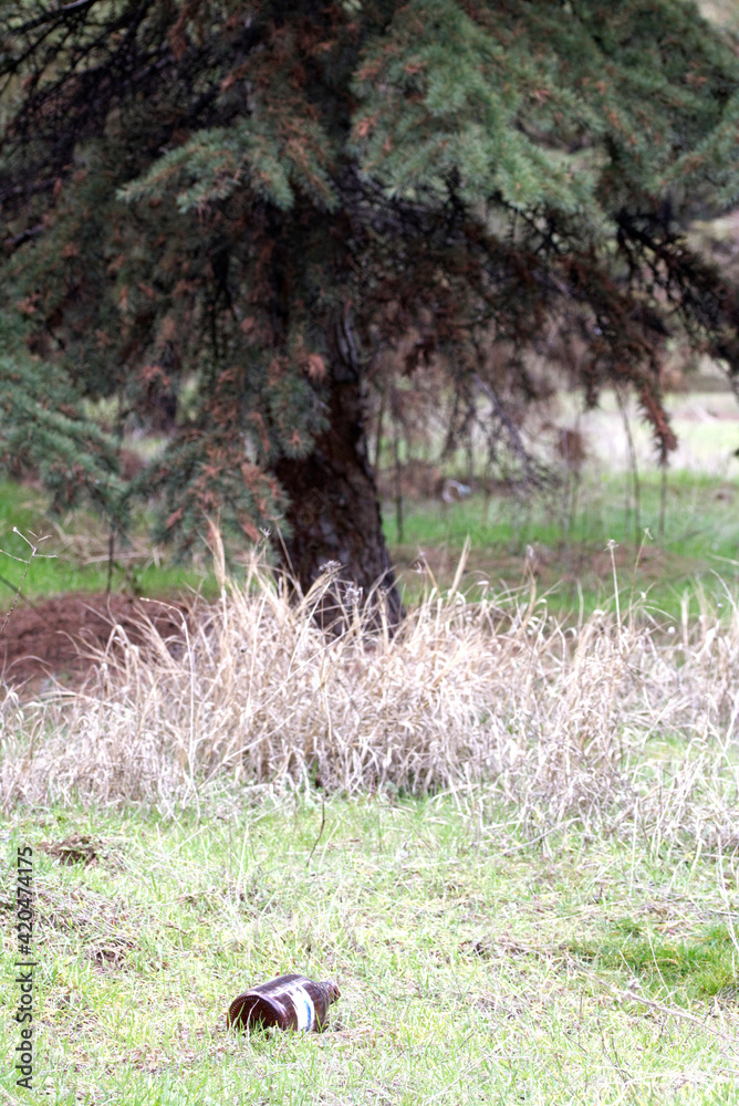 Empty glass bottle in the forest thrown by man. Empty glass bottle in the forest thrown by man.