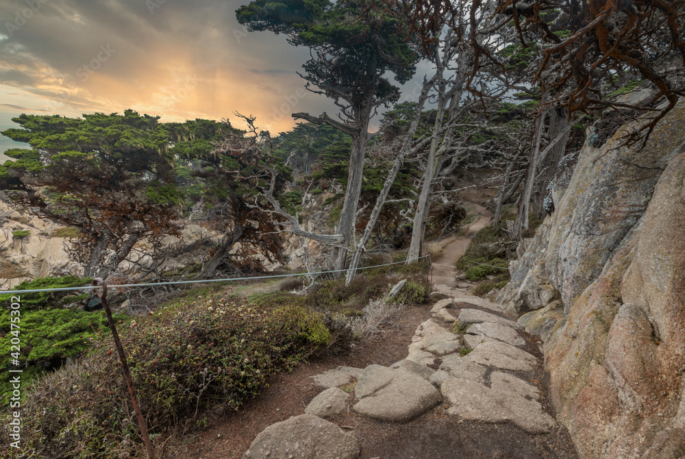Beautiful landscape view of the hiking trail on the rocky Pacific coast at Point Lobos State Reserve in Carmel, California. Beautiful landscape view of the hiking trail on the rocky Pacific coast at Point Lobos State Reserve in Carmel, California.