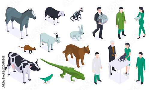 Isometric Veterinary Color Icon Set