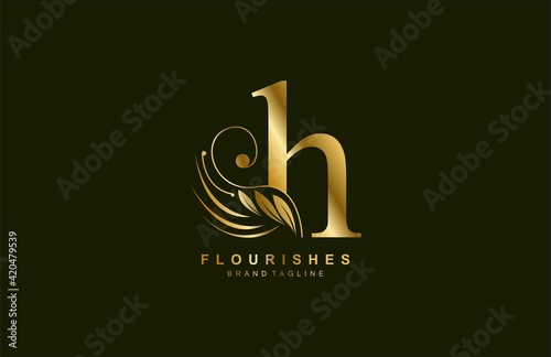 lowercase letter h linked beauty flourish golden color logo design photo
