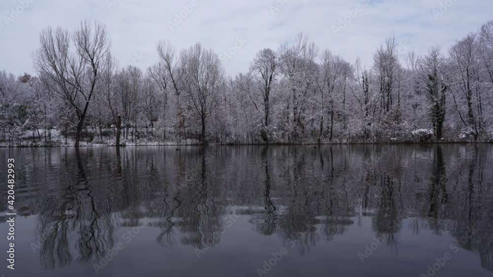 Winter scene with trees covered in snow reflecting on calm cold water of lake Winter scene with trees covered in snow reflecting on calm cold water of lake