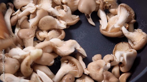 cooking fried mushrooms close-up. selective focus. oyster mushrooms