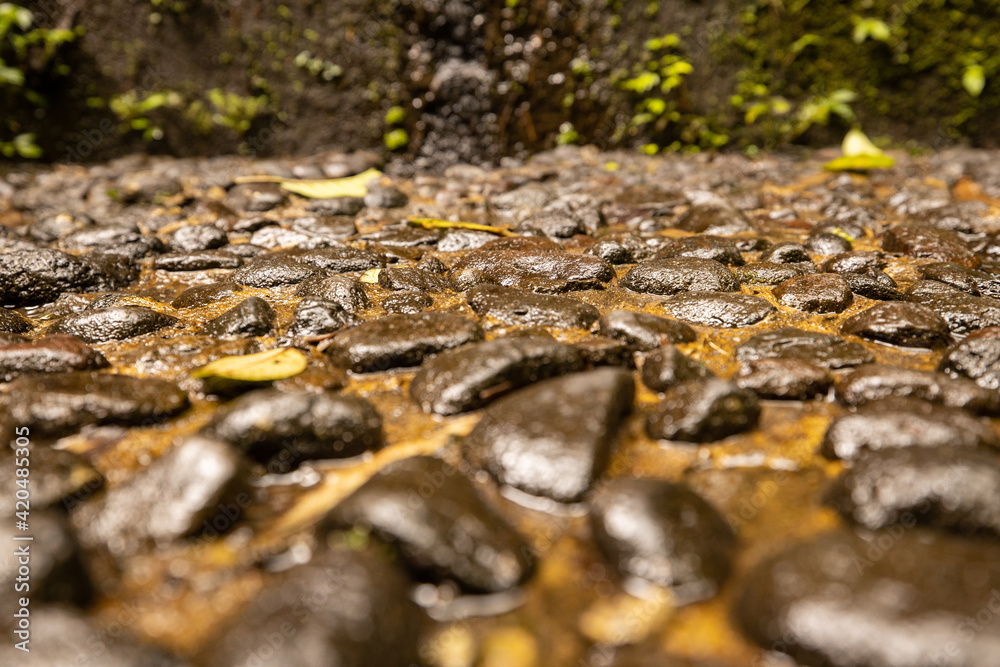 Wet stones. Texture background. Selected art focus. Blurred foreground and background. Copy space. Wet stones. Texture background. Selected art focus. Blurred foreground and background. Copy space.