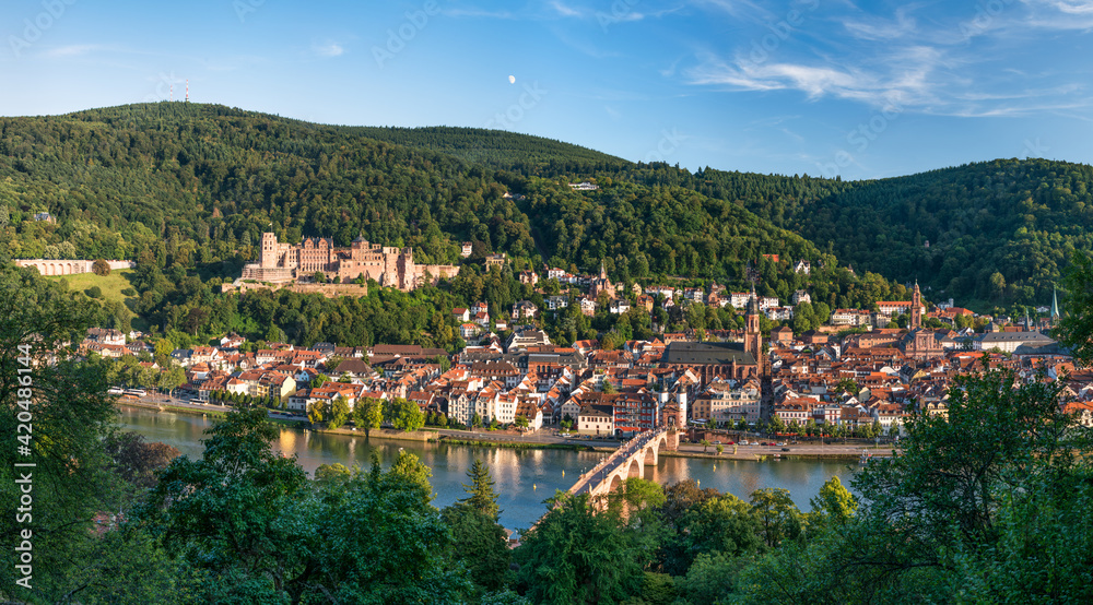 Panoramic view of Heidelberg in summer