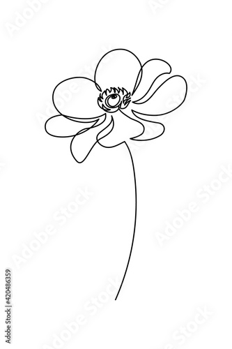 Flower in continuous line art drawing style. Anemone windflower black linear sketch isolated on white background. Vector illustration