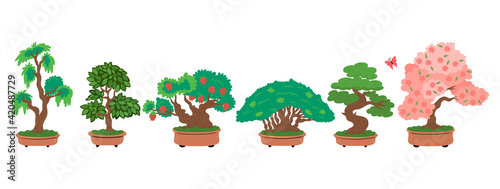 Bonsai trees set isolated on white background. Vector graphics.