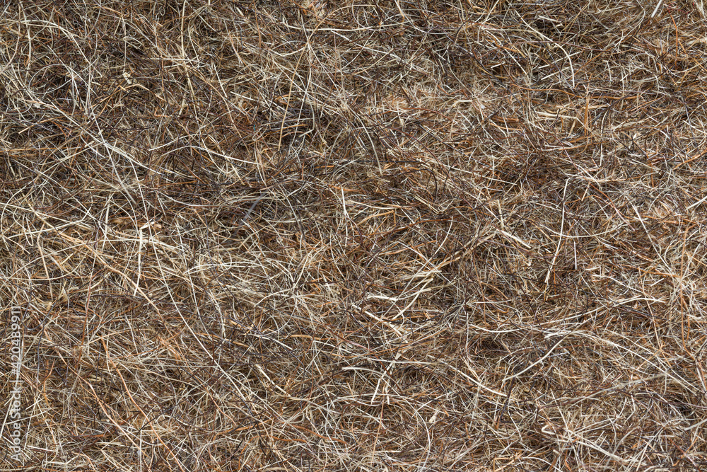felt boots texture for background, close-up felt boots texture for background, close-up