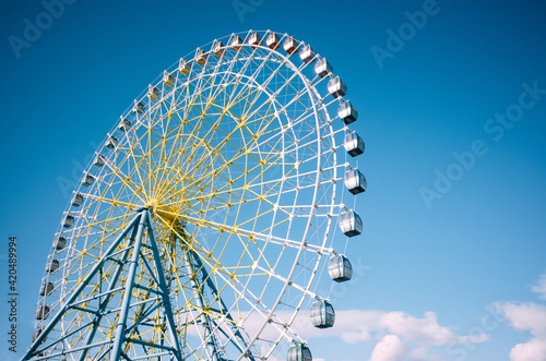 Ferris Wheel In Amusement Park