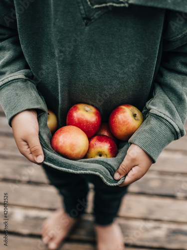 Picked Apples