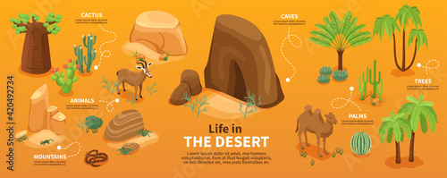 Desert Isometric Infographics