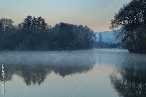 Mouettes dans le brouillard sur les falaises de Connelles, Normandie