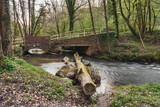 A tree trunk in the Angerbach with the footbridge in the background, seen near Ratingen, North Rhine-Westphalia, Germany