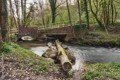 A tree trunk in the Angerbach with the footbridge in the background, seen near Ratingen, North Rhine-Westphalia, Germany photo