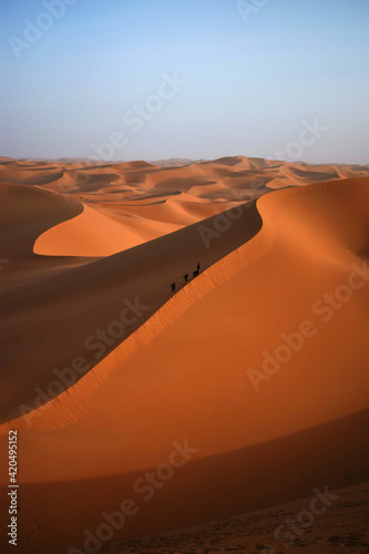 Wüste Sahara mit Panoramablick