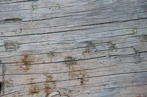 Distressed wood texture closeup of driftwood with slivers and discolorings great for design elements.