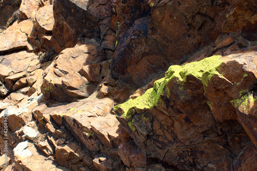 Weathered Rocks Background with Lichen Full Frame of Cliff 