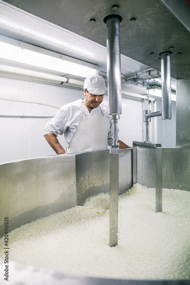 Man watching after machine making cheese Man watching after machine making cheese