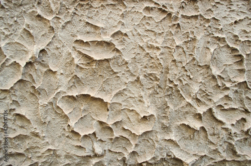 Wall with decorative plaster