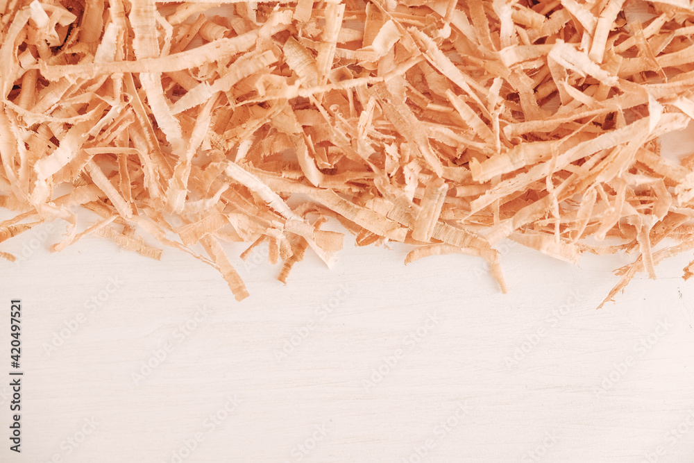Wood shavings on white background. Top view. Copy, empty space for text Wood shavings on white background. Top view. Copy, empty space for text