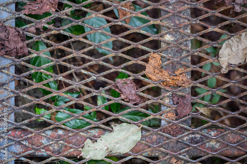 Steel grading with dry leave on top view.