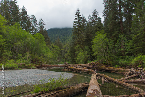 Untouched wild photo