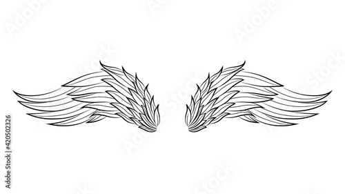 Vintage heraldic wings sketch. Doodle stylized birds wings. Hand drawn contoured stiker wing in open position. Design elements in coloring style