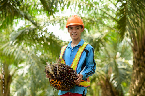Asian farmer holding palm oil fruit